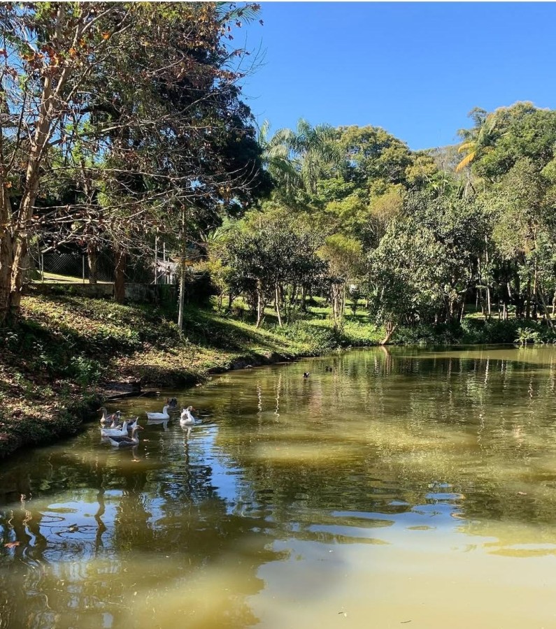 Chácara, 5 quartos - Foto 7
