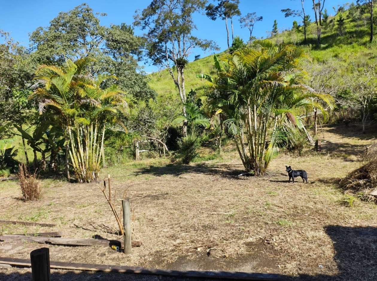 Chácara, 4 quartos, 3 hectares - Foto 18